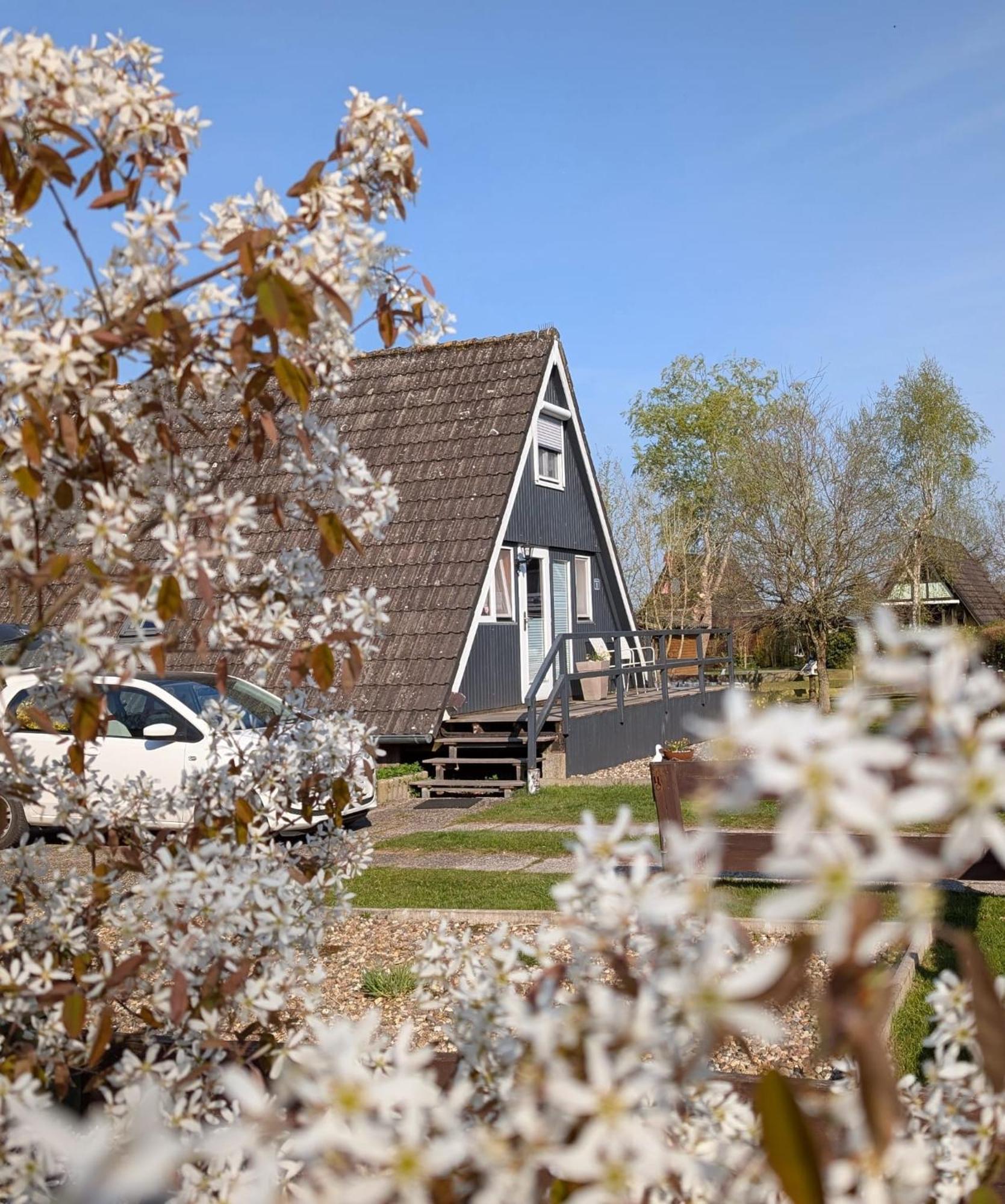 Ferienhaus Brungers Südbrookmerland エクステリア 写真
